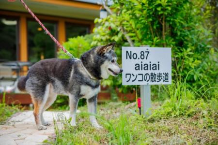 たびの邸宅 aiaiai 2nd ワンコの散歩道《ペット可》