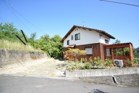 パインバンブー