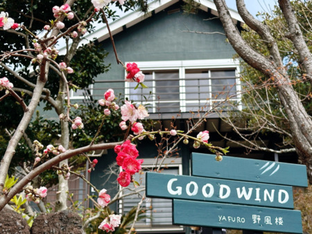 GOOD WIND